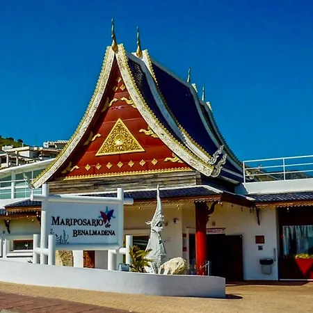 Yolanda Del Mar * Arroyo De La Miel